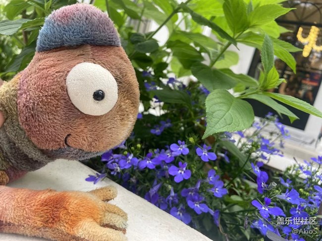 【春天就是运动的时候】征名