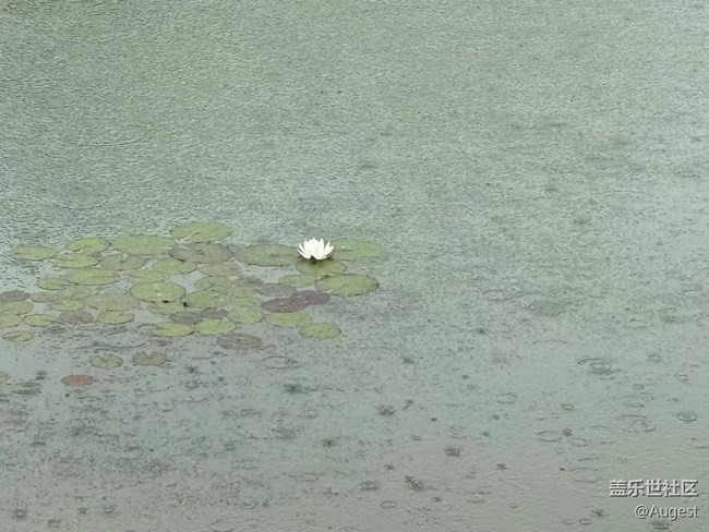 【春天就是运动的时候】多出去走走