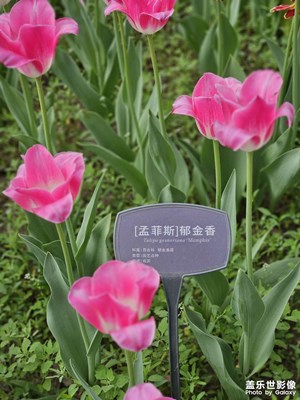 【生活的写意】识字看图