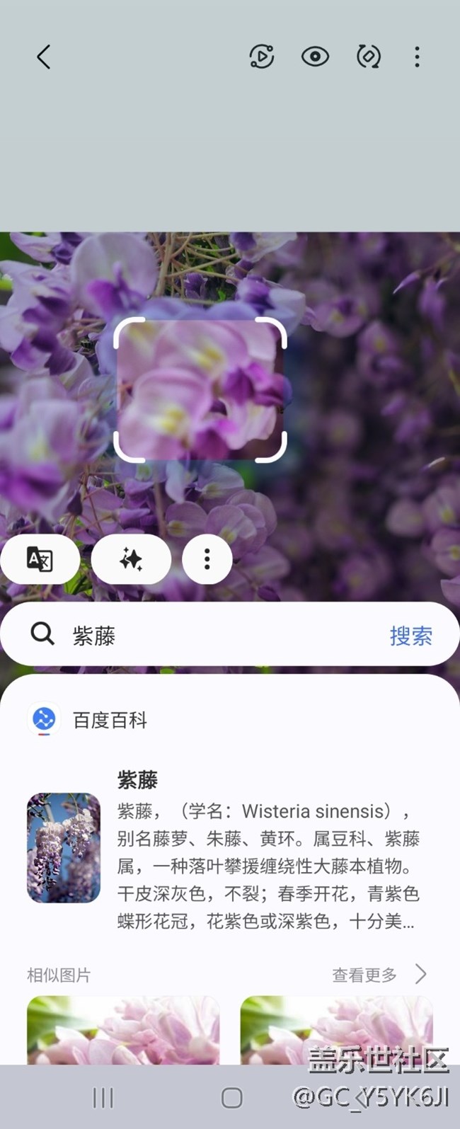 【AI体验】+即圈即搜