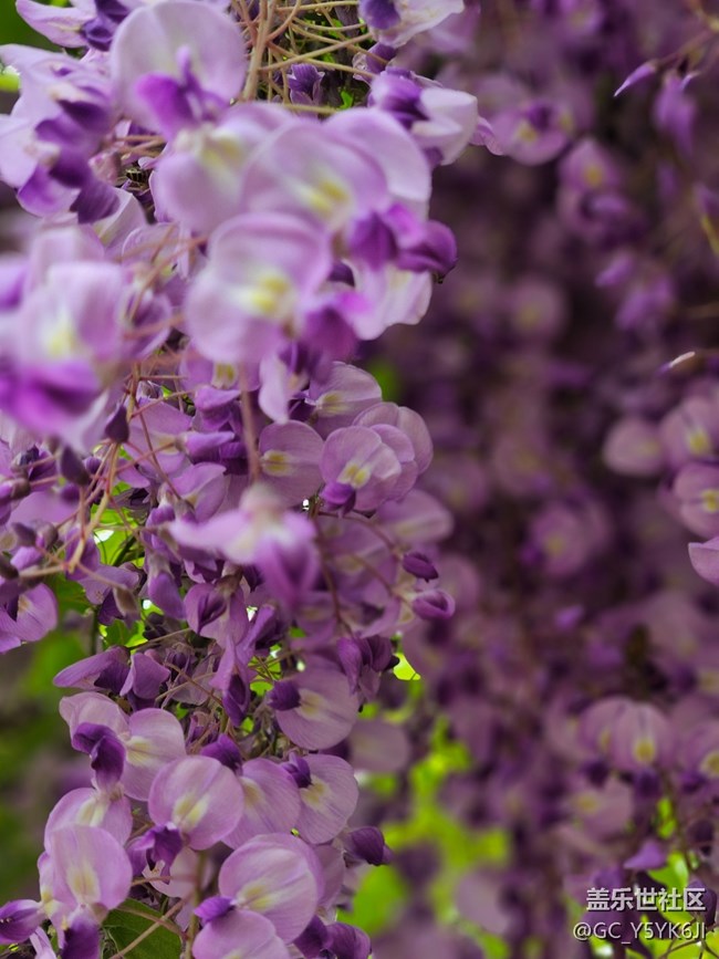 【AI体验】+即圈即搜