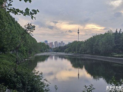 【生活的写意】+ 令人着迷的春天
