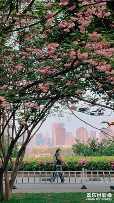 【生活的写意】