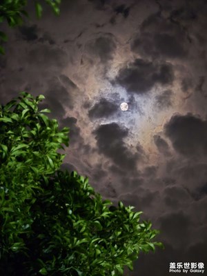 月夜