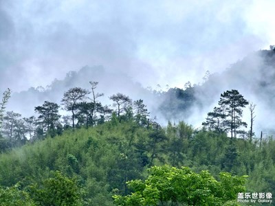 旅途进行时·广西桂平之山篇
