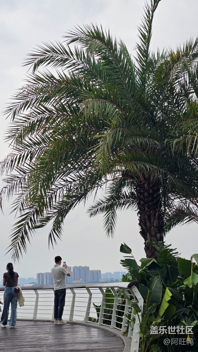 春雨后，万物复苏