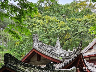 【生活的写意】+ Park Walk