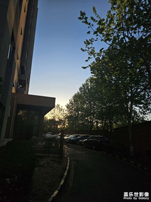 【生活的写意】+ 下班回家的春景