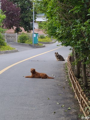 【生活的写意】恬静生活