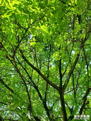 【生活的写意】+悠闲自得