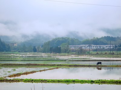 Galaxy S24 Ultra春雨