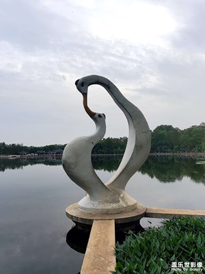 【最美人间四月天】+ 四月公园