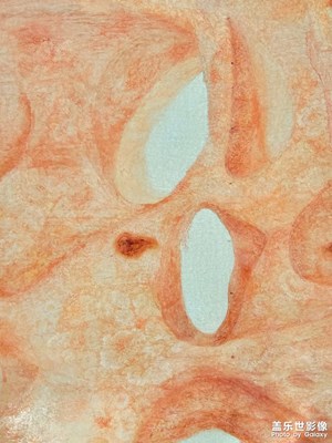 作品展