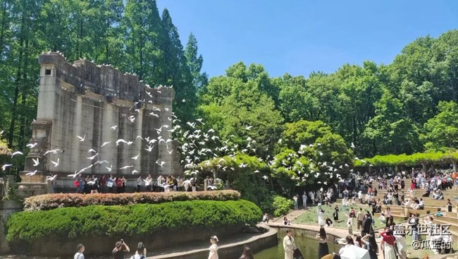 【我的旅行日记】南京美