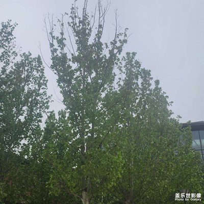 最美人间四月天 舒服的季节