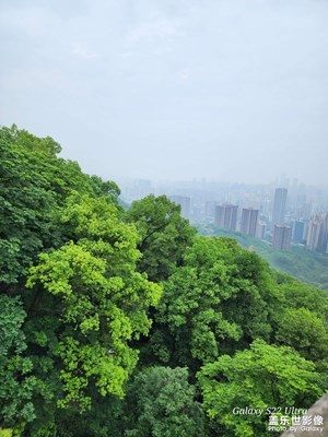爬重庆南山
