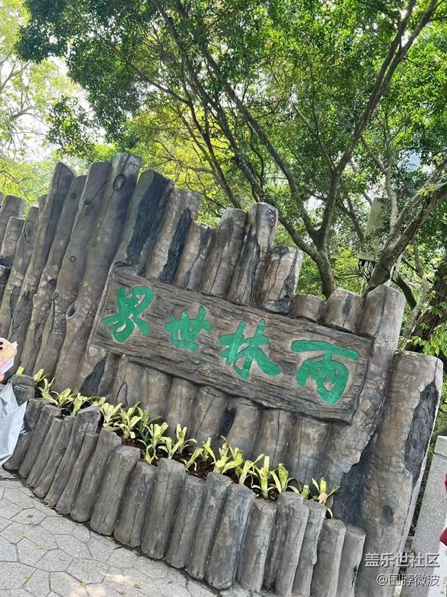 【我的旅行日记】逛逛吃吃