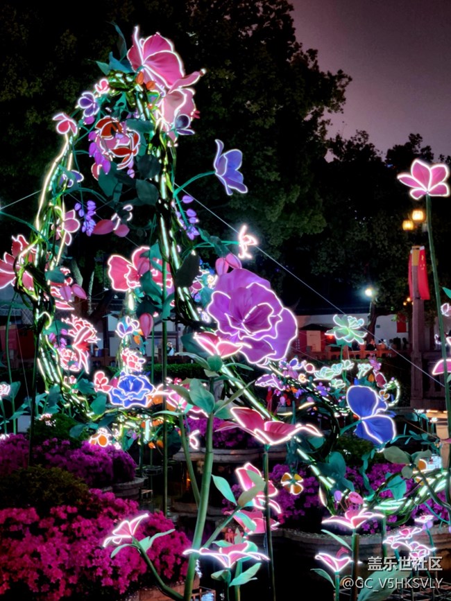 【豫园花朝节摄影活动】+白天与黑夜