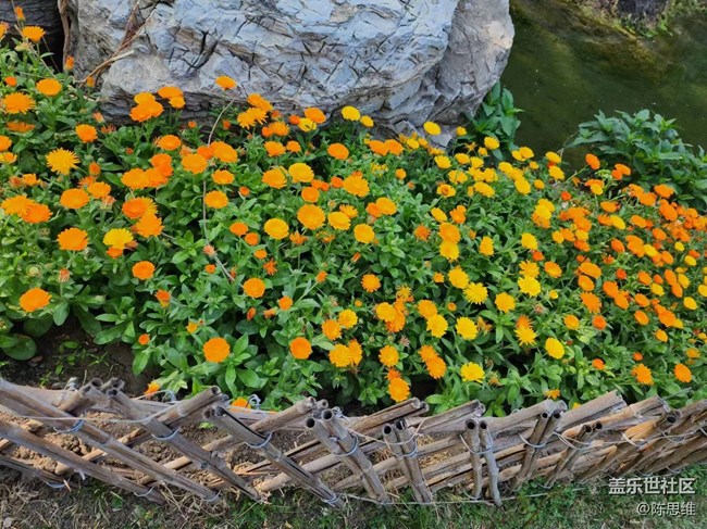 【春日影像诗】待到山花烂漫时