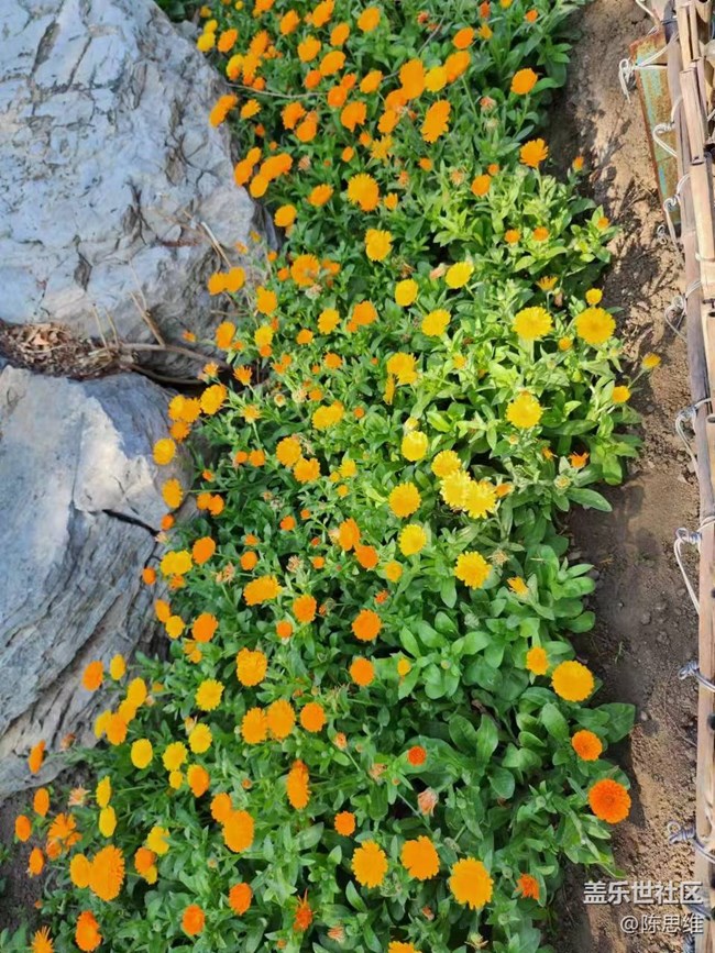 【春日影像诗】待到山花烂漫时