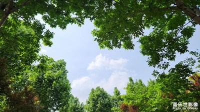 【最美人间四月天】+ 浪漫的季节