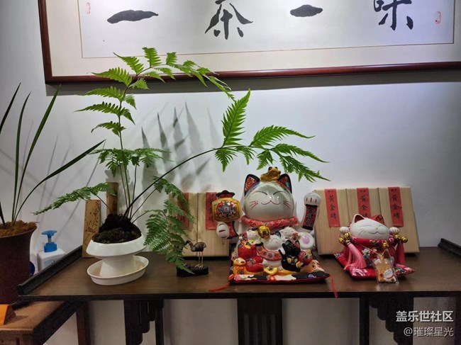 【春日影像诗】禅茶一味