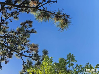 【最美人间四月天】四月的天空