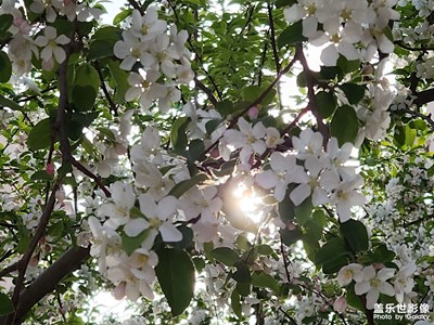 【最美人间四月天】+ 春暖花开