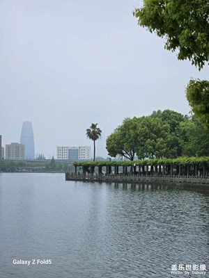 【最美人间四月天】日湖公园晨景