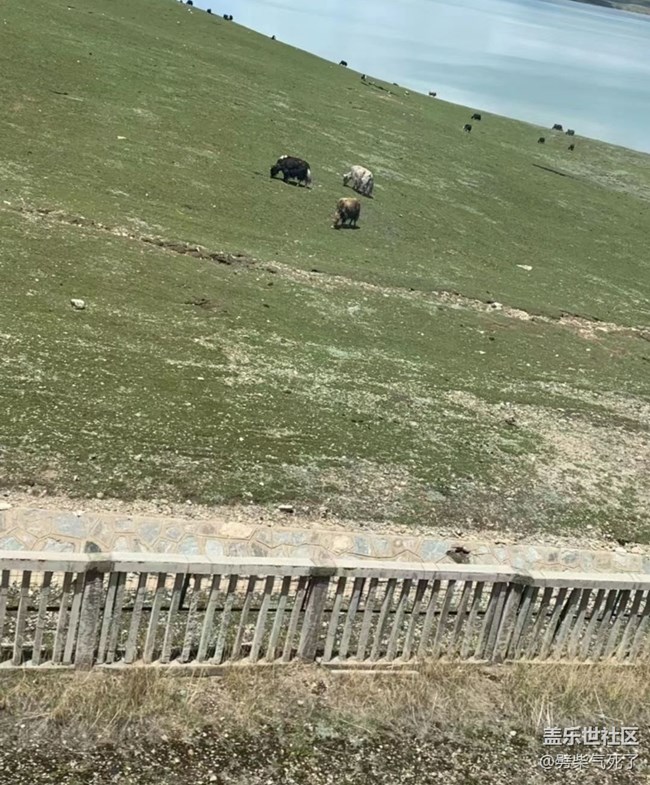 【我的旅行日记】西藏行