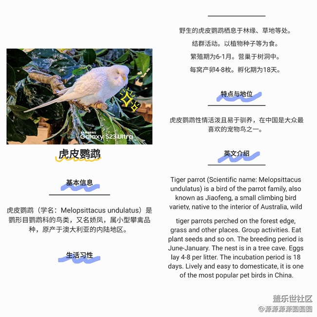 【Galaxy AI太强啦】武汉星部落四月线下活动总结贴
