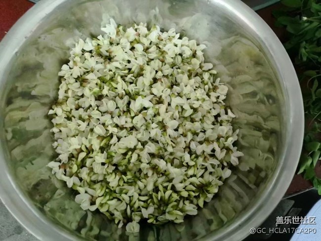 【五一美食汇】槐花蛋饼