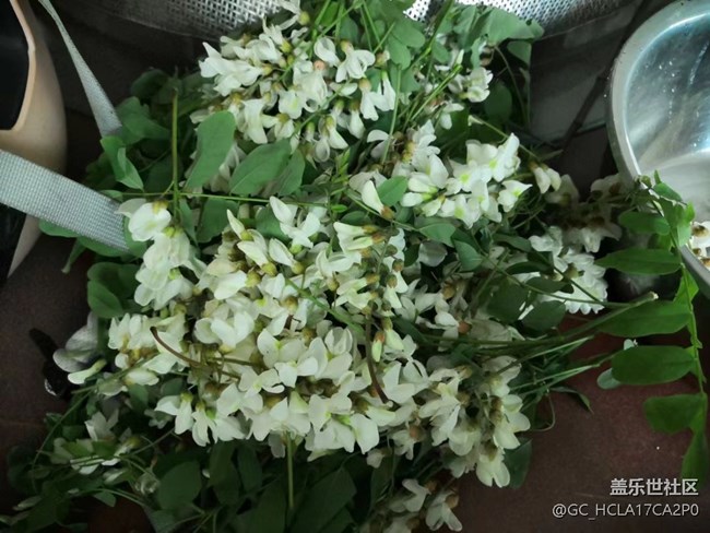 【五一美食汇】槐花蛋饼