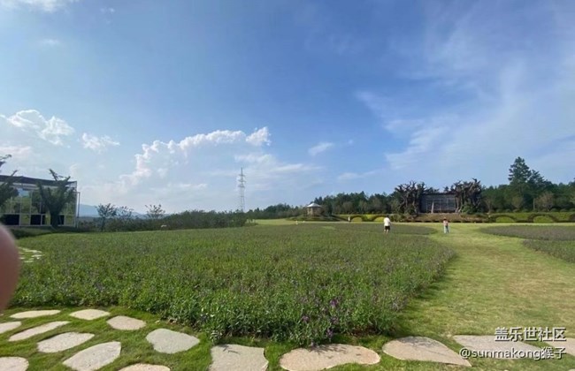 【去有风的地方】花海