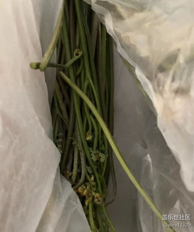 【去有风的地方】上山劳作