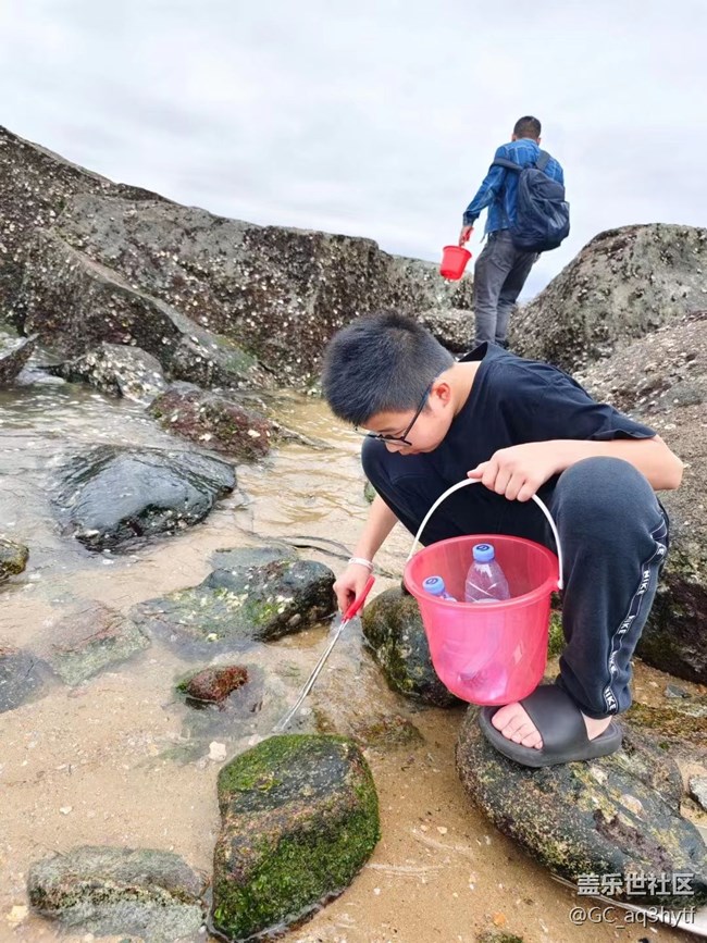 【我的旅行日记】赶海去