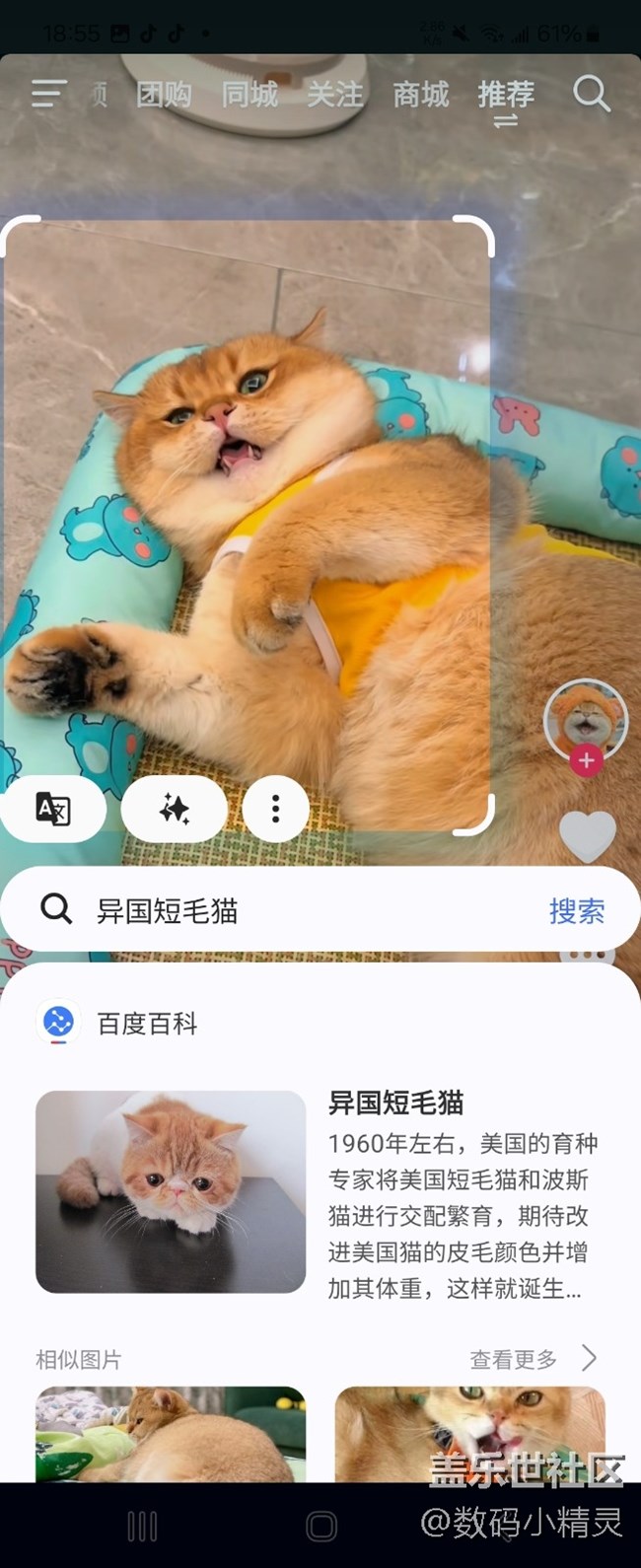 【追星星的我们】一路向南，寻找远离城市的寂静