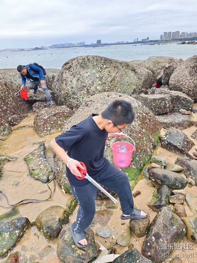 【我的旅行日记】赶海去