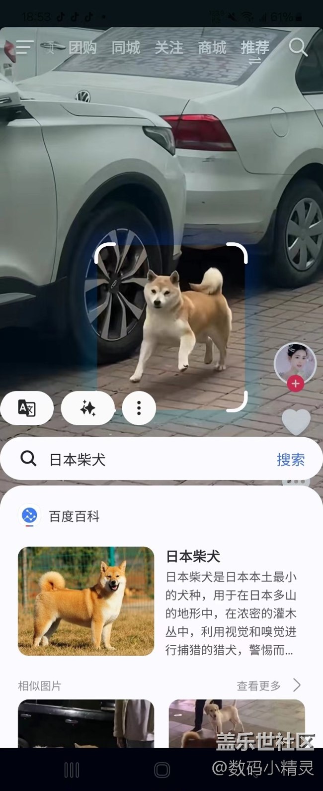 【追星星的我们】一路向南，寻找远离城市的寂静