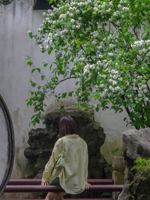 （快乐假期）+豫园的江南立夏