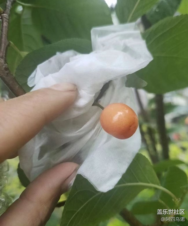 【轻夏趣生活】结果