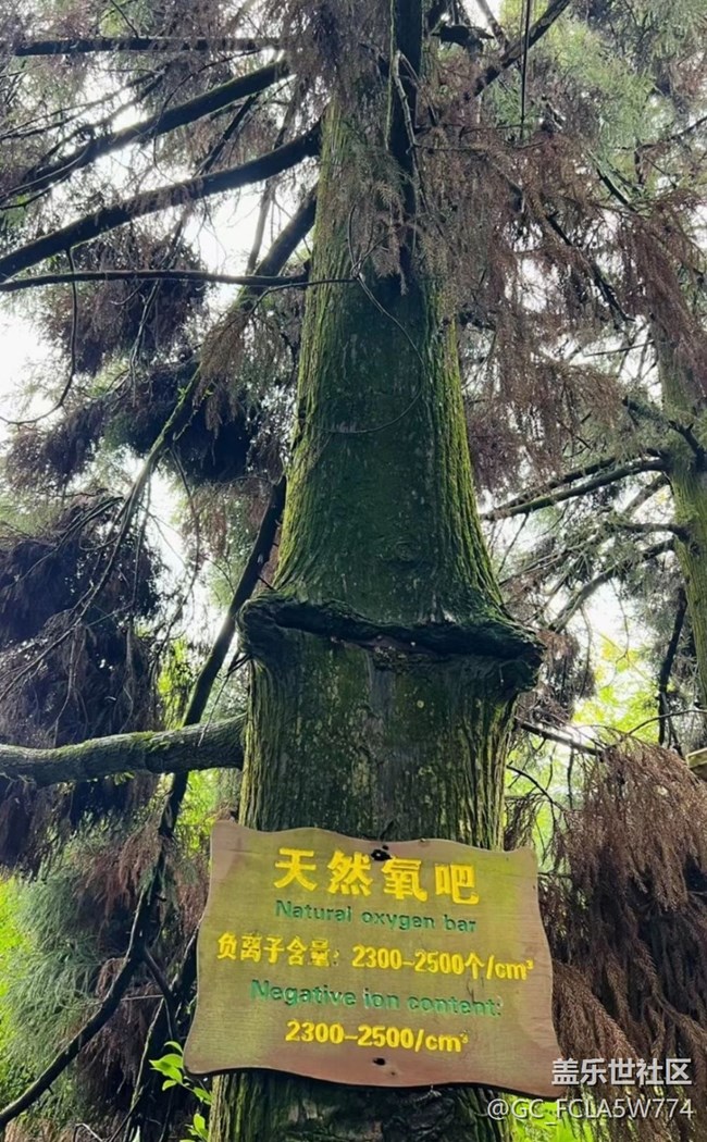 【去有风的地方】氧吧