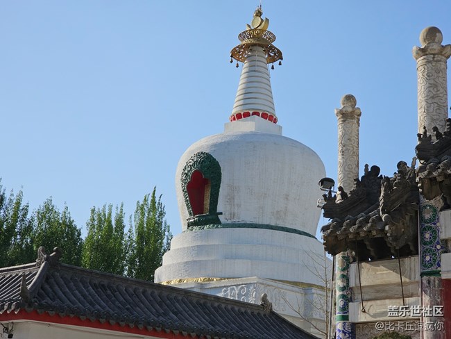 【我的假期旅行日记】五一游沈阳