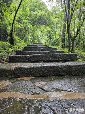 神仙居所应如是