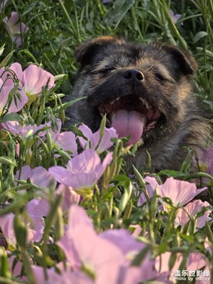【快乐假日】 节后随拍