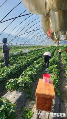 【快乐假日】+ 假日出行日记