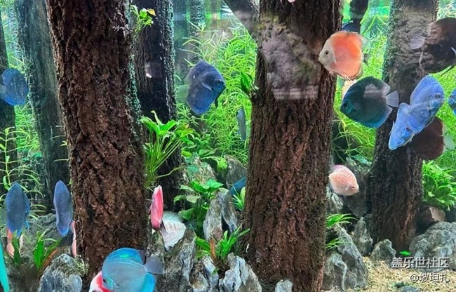 【说走就走的旅行】水族馆