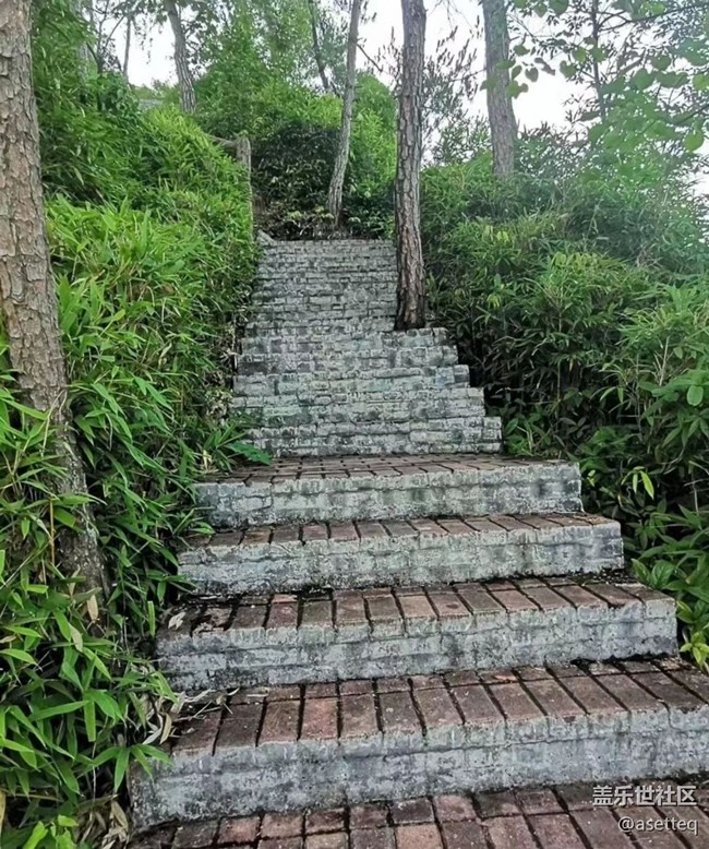 【去有风的地方】午后运动
