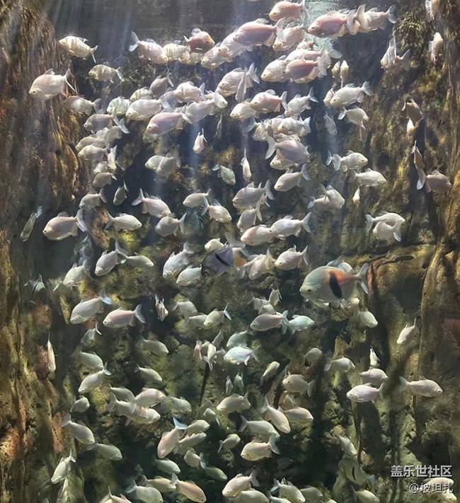 【说走就走的旅行】水族馆