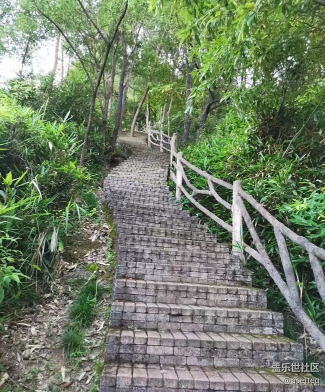 【去有风的地方】午后运动